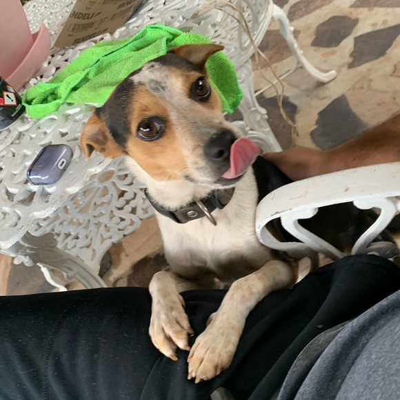 Meet your Posher, Gildardo - Picture 1 of 1